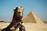 Wspaniały wypoczynek w Krainie Faraonów / Egipt, Skoczów, śląskie