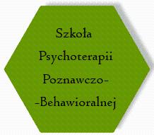 4.letnie kursy psychoterapii
