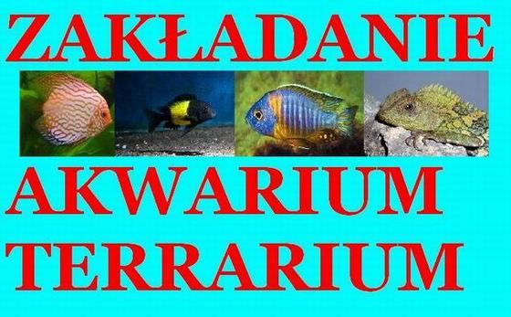 Zakładanie i opieka nad akwarium - WARSZAWA, mazowieckie
