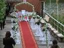Ślub na molo w Wiktorowie