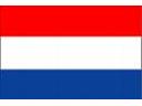 Holenderski  /  Niderlandzki  -  korepetycje