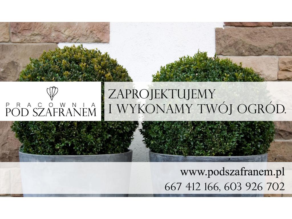 Ogrody Wrocław, Projektowanie ogrodów Wrocław, Wroclaw , dolnośląskie