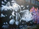 Graffiti na zlecenie, Warszawa i cała Polska, mazowieckie
