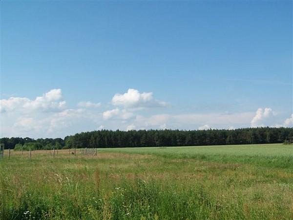 Niedokończony dom w Rogoźnie, Oborniki, wielkopolskie