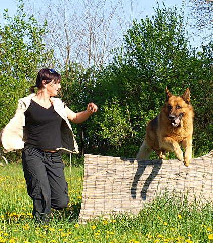 SZKOLENIA I HODOWLA  PSÓW, małopolskie