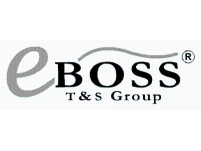 eBOSS Technology & Software Group - kliknij, aby powiększyć
