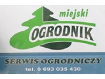Zdjęcie nr 1 - kliknij, aby powiększyć