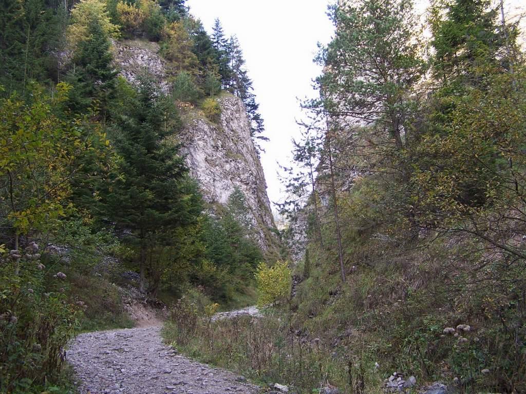 Jesienny  wypoczynek  w  Pieninach, Krościenko  nad  Dunajcem, małopolskie