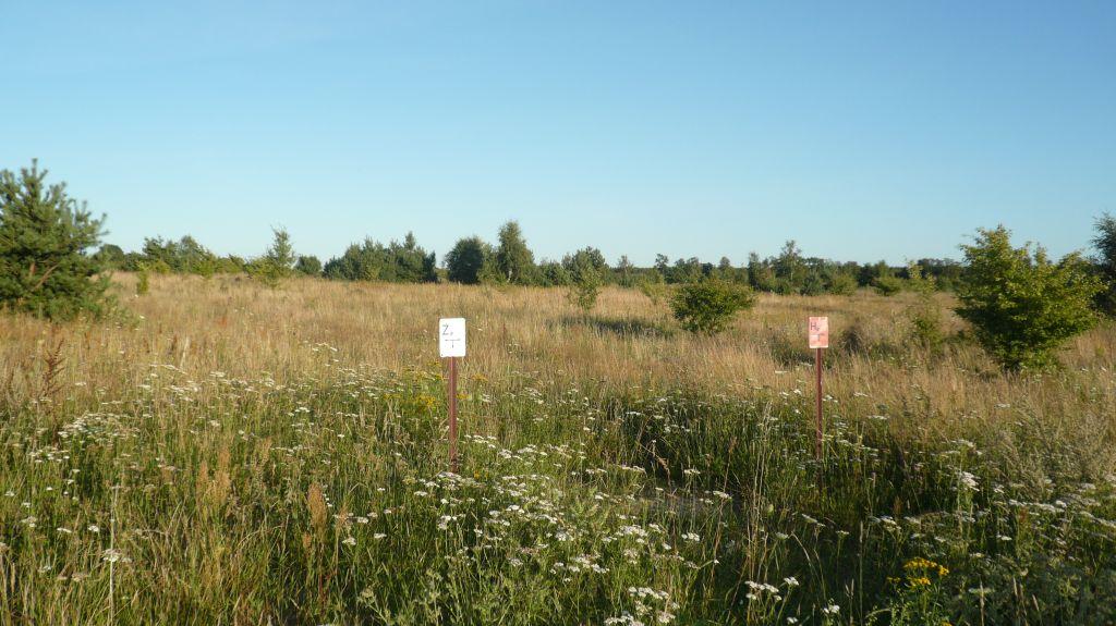 Oferta sprzedaży działek nad morzem Ustka, pomorskie