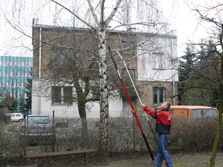 WYCINKI WYCINKA DRZEW WARSZAWA, mazowieckie