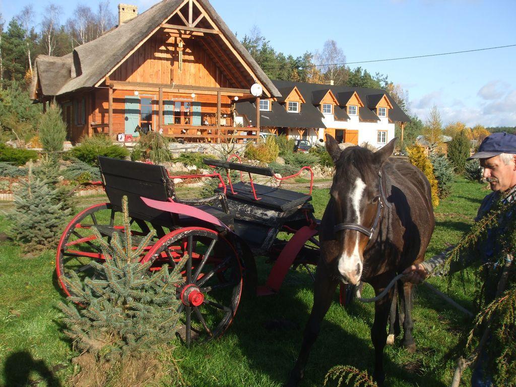 Agroturystyka-camping Koziolkowo, Stara Kiszewa, pomorskie