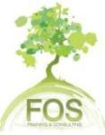 logo FOS Training Consulting