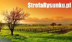 Kurs rysunku - Tarnobrzeg. Architektura, podkarpackie