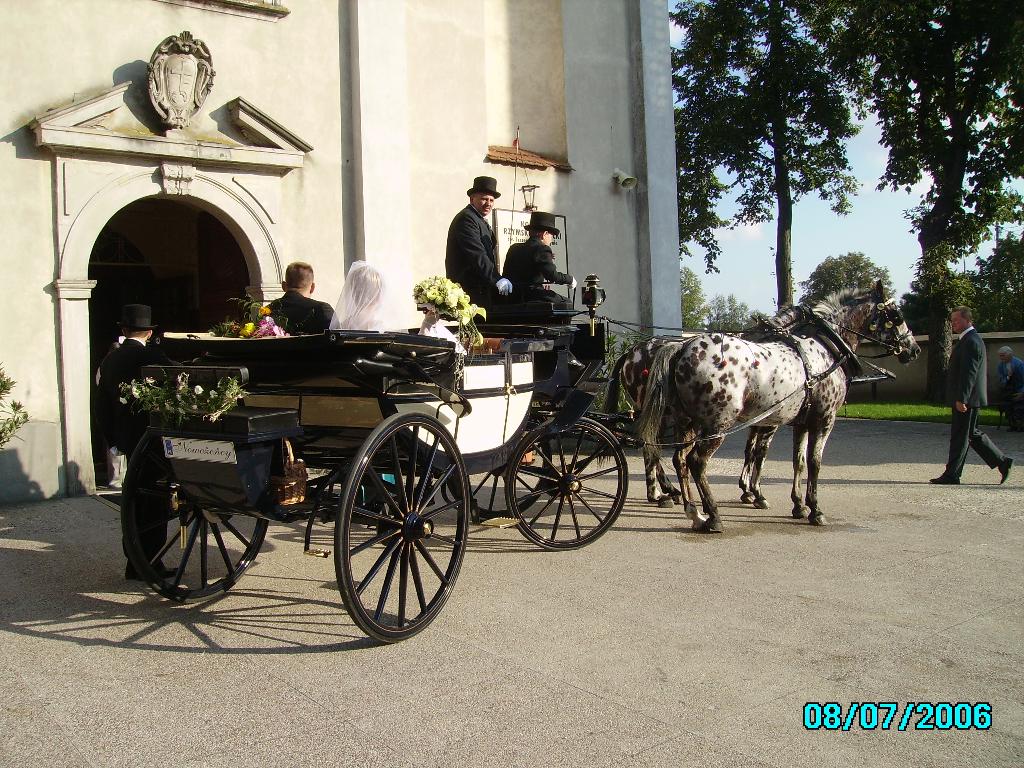 Wynajem limuzyn i bryczek, Raszyn, mazowieckie