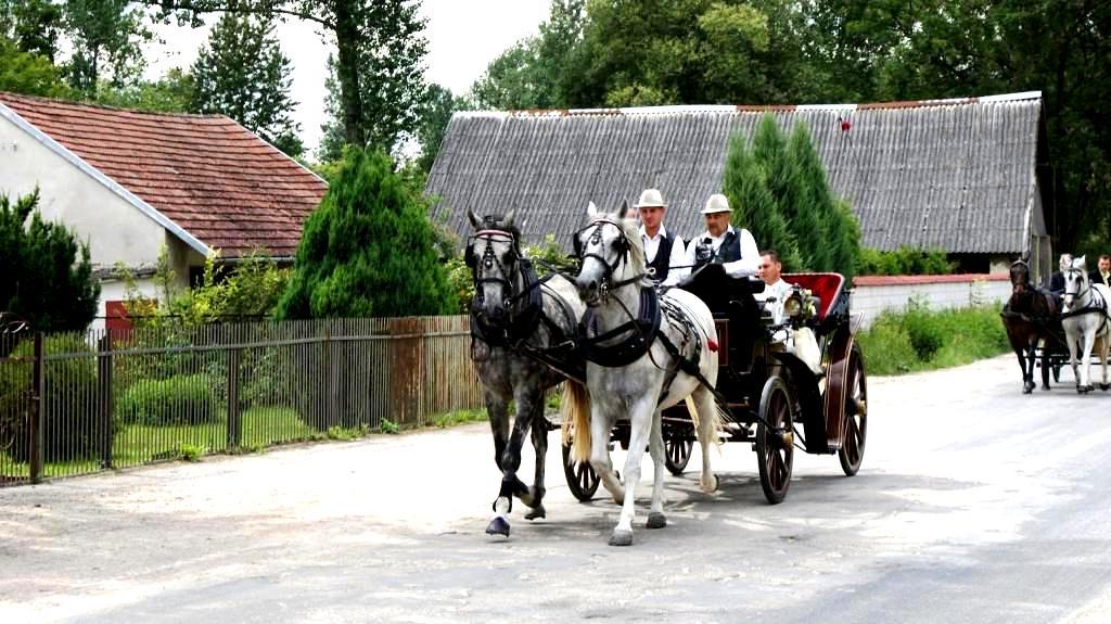 Bryczką Do Slubu Proszowice, małopolskie