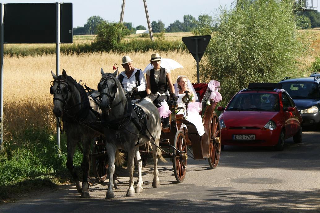 Bryczką Do Slubu Proszowice, małopolskie