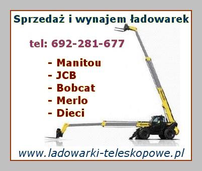 ladowarki-teleskopowe.pl