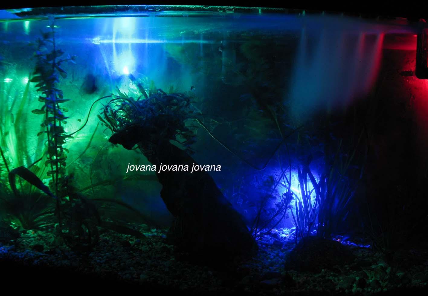 Oświetlenie LED Akwarium Wodoszczelne + przyssawk