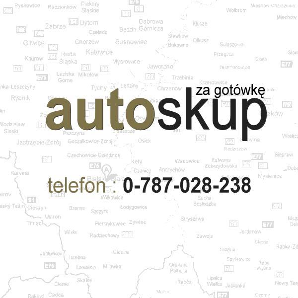 AUTO SKUP BIELSKO-BIAŁA 0-787-028-238