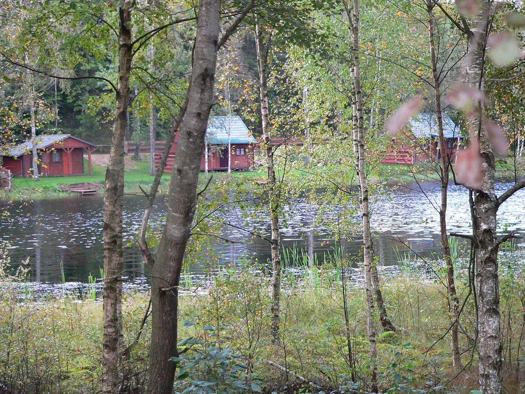 Domki letniskowe na kaszubach, Jelencz,bytow, pomorskie