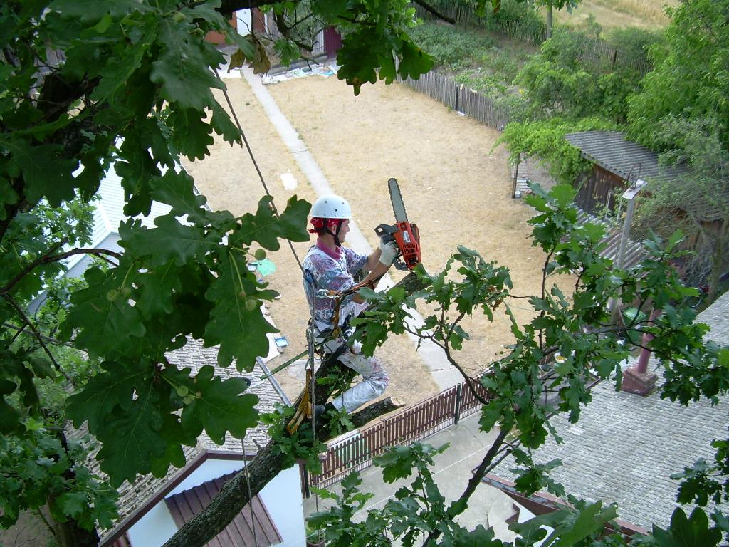 Prace wysokościowe, alpinistyczne, Katowice, śląskie