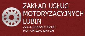 Mechanik Samochodowy Usługi Motoryzacyjne Lubin, dolnośląskie