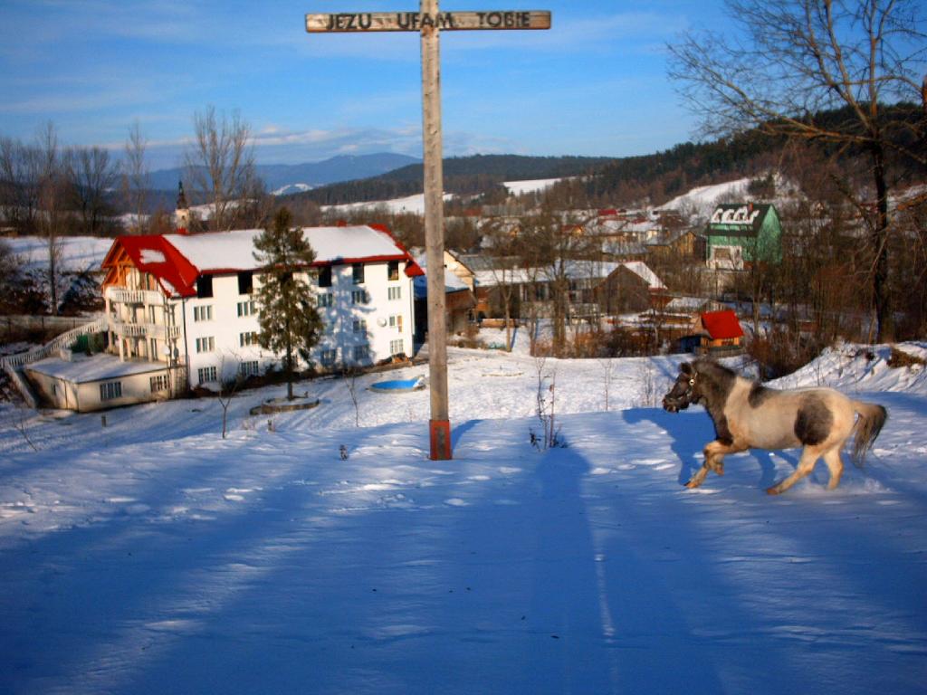 Perla poludnia, Kacwin-niedzica, małopolskie