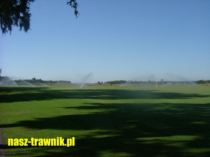 PIELĘGNACJA TRAWNIKA KRAKÓW TRAWNIKI KRAKÓW, małopolskie