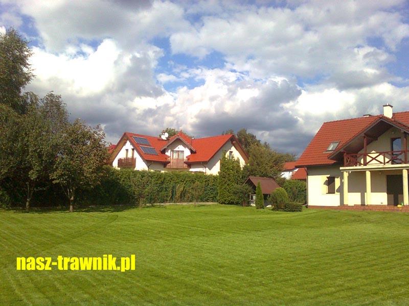 Trawa z rolki kraków trawnik z rolki kraków , małopolskie