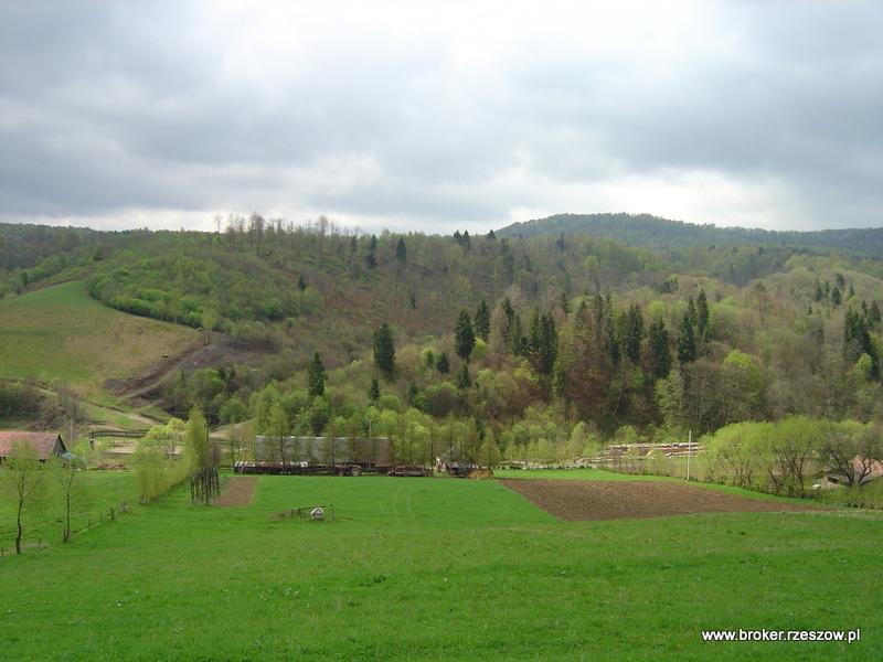 Bieszczady Teleśnica Oszwarowa działka sprzedam, Rzeszów, podkarpackie