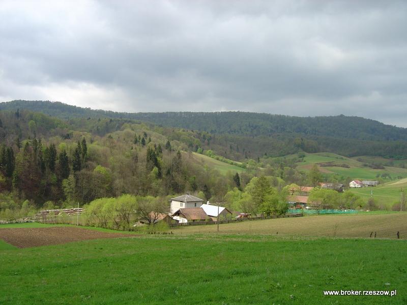 Bieszczady Teleśnica Oszwarowa działka sprzedam, Rzeszów, podkarpackie