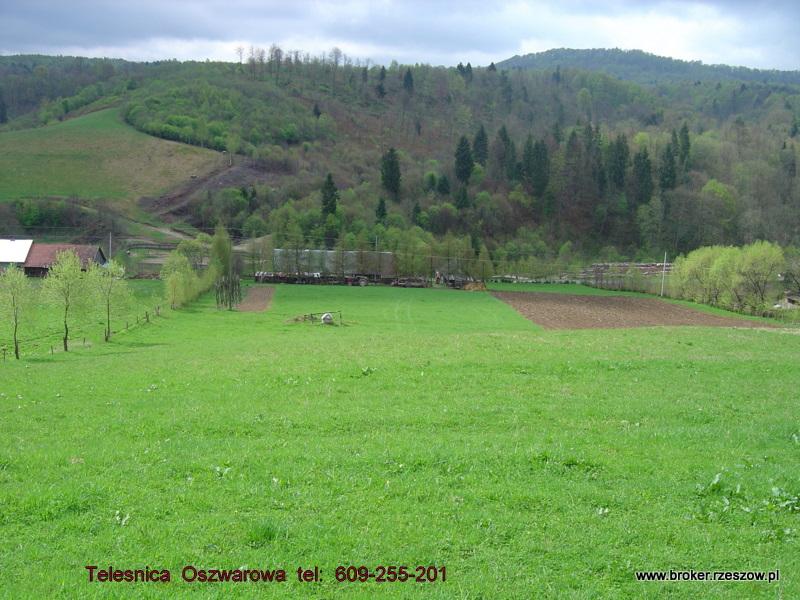 Bieszczady Teleśnica Oszwarowa działka sprzedam, Rzeszów, podkarpackie