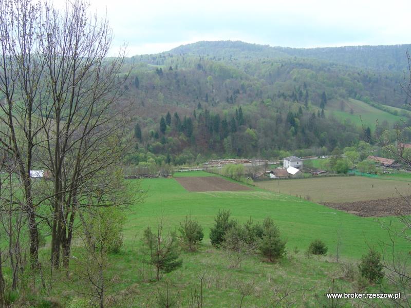 Bieszczady Teleśnica Oszwarowa działka sprzedam, Rzeszów, podkarpackie