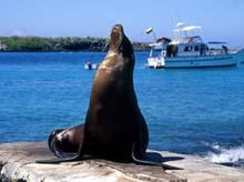Ekwador -Galapagos wycieczkę poleca Geotour !! , Chorzów, śląskie