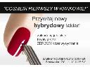 SHELLAC dwutygodniowy manicure, Kraków, małopolskie