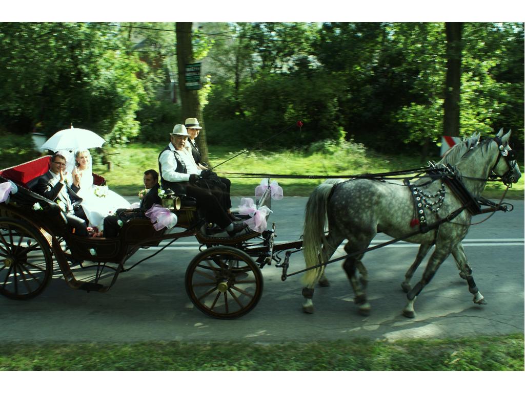 Bryczka do ślubu, Góry miechowskie, małopolskie