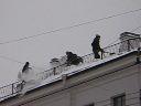 Odśnieżanie Dachów, usuwanie śniegu ŁÓDŹ, Łódź, łódzkie
