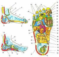 Refleksolog refleksoterapia refleksologia, Poznań, wielkopolskie