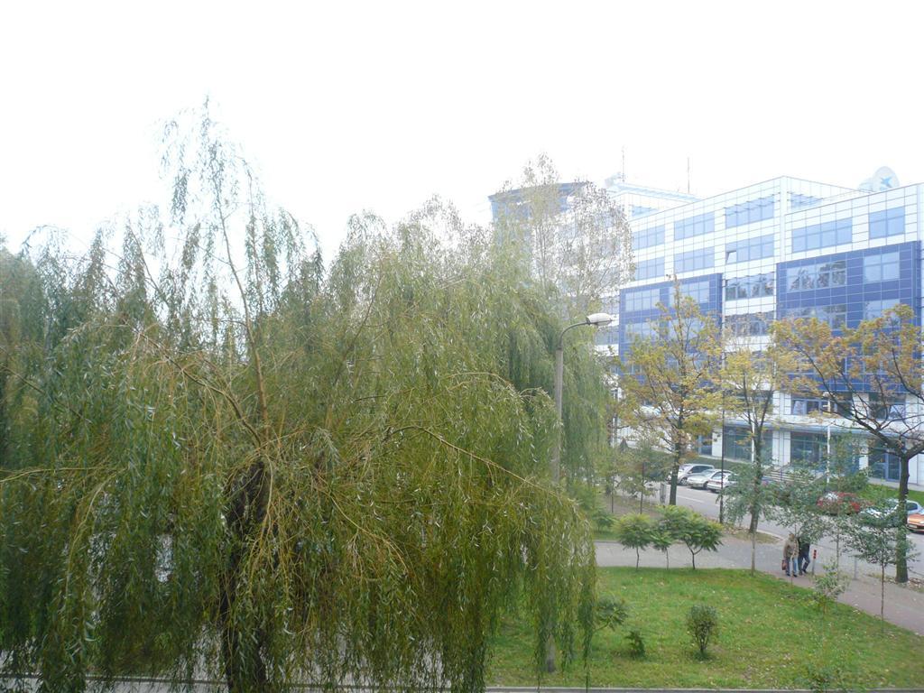 Sprzedam Bezposrednio, Katowice, śląskie