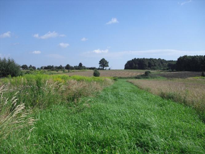 Pilnie sprzedam działkę bud. - Rybnik(Niewiadom), Świerklany, śląskie