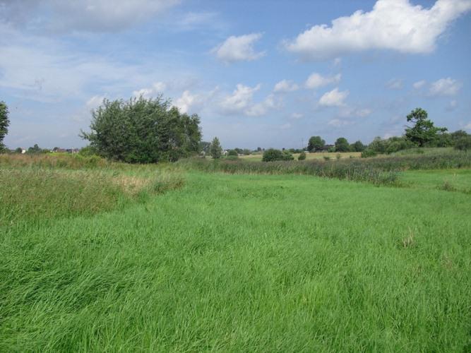 Pilnie sprzedam działkę bud. - Rybnik(Niewiadom), Świerklany, śląskie