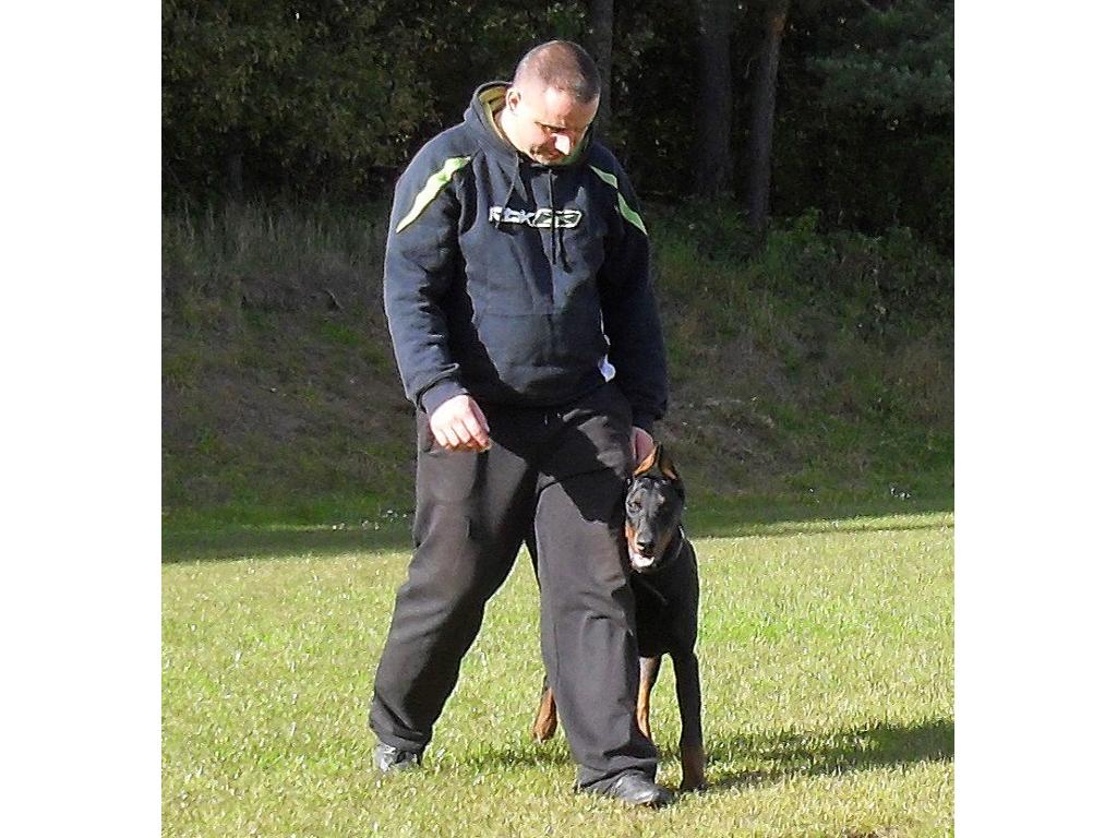 ACADEMY DOGS- hotel dla psów -SZKOLENIE PSÓW, Wejherowo, pomorskie