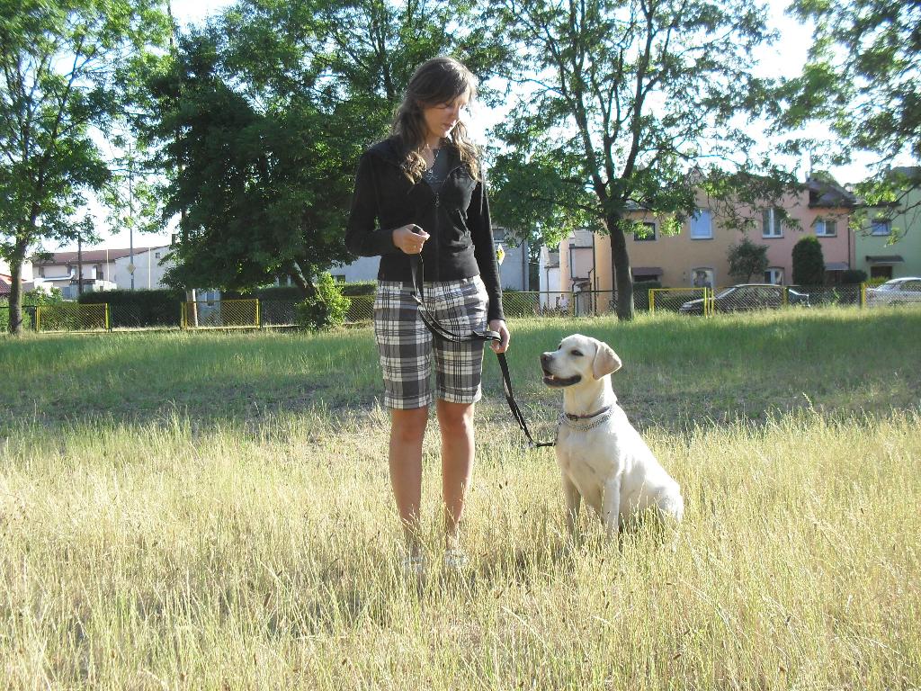 ACADEMY DOGS- hotel dla psów -SZKOLENIE PSÓW, Wejherowo, pomorskie