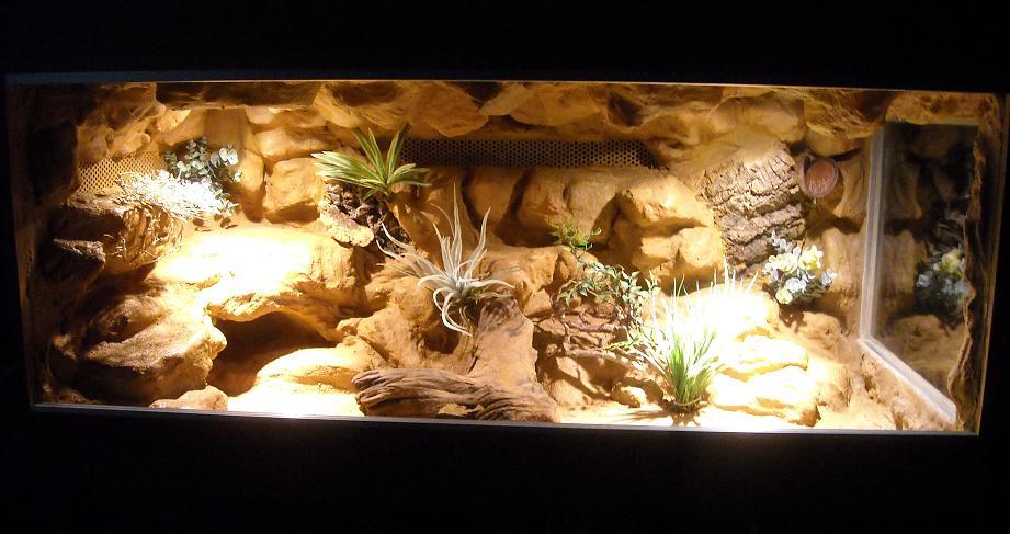 TERRARIUM DLA AGAMY BRODATEJ O WYM.(120cm/60cm/60cm)