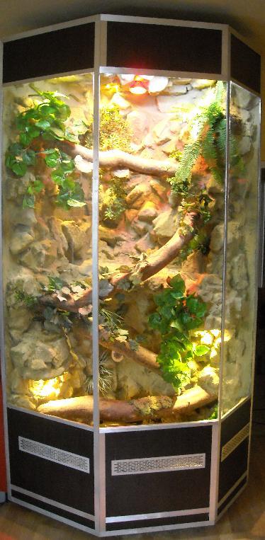 TERRARIUM PIECIOKANE DLA LEGWANA O WYM.(260cm/110cm/90cm)