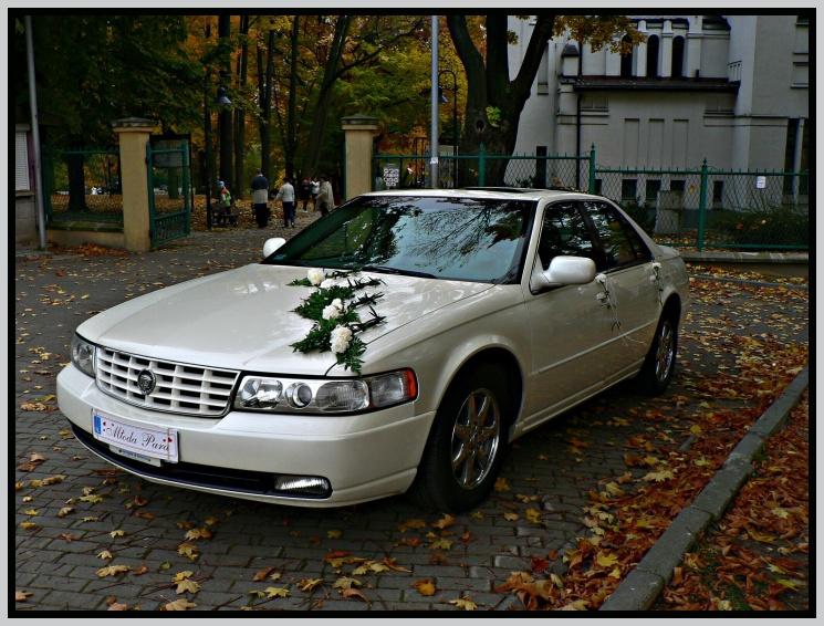 Auto na wesele ślub uroczystość limuzyna, Częstochowa, śląskie