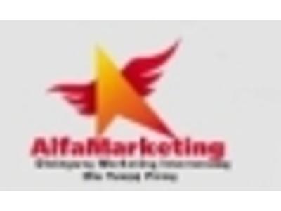 Międzynarodowe pozycjonowanie stron AlfaMarketing - kliknij, aby powiększyć