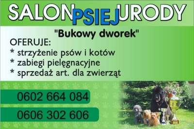 STRZYŻENIE PSÓW, KĄPIEL PSÓW DUŻYCH I MAŁYCH, WARSZAWA, mazowieckie