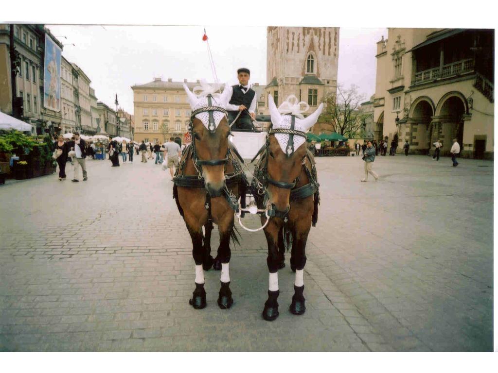 Ślubna dorożka, Kraków, małopolskie