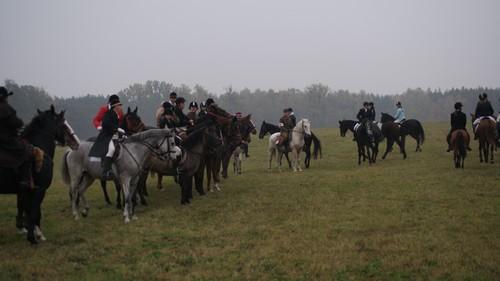 Jazda konna oferta dla Studentów Pony Poznań, wielkopolskie